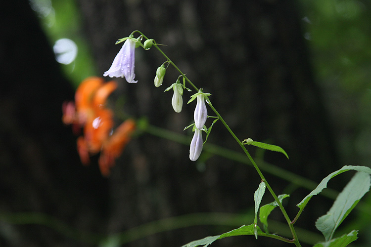 050730_167.jpg