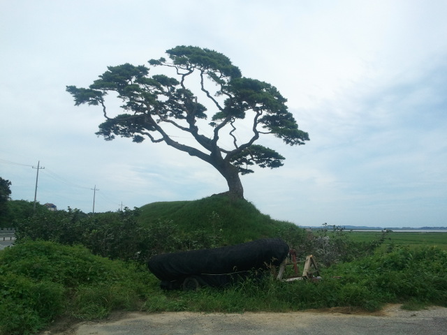 2011-08-24.jpg