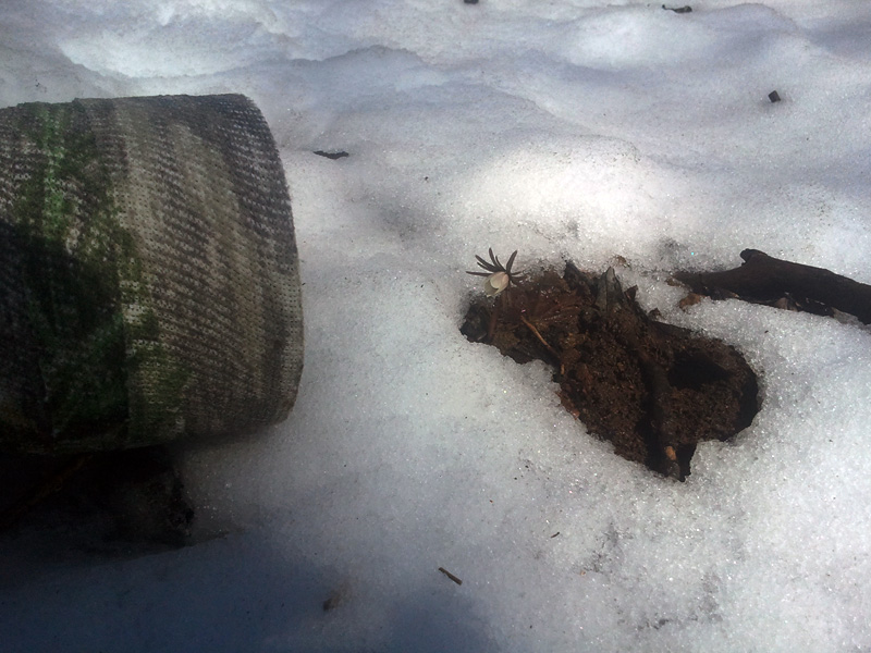 2012-03-28.jpg