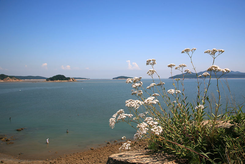 yhd_017.jpg