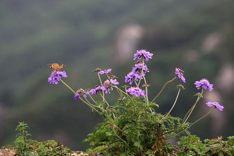 060815dam_113.jpg