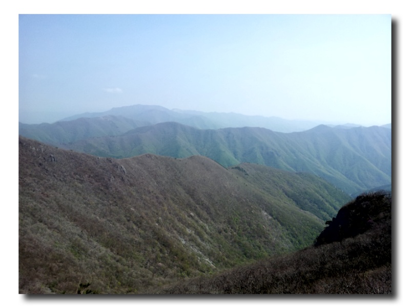 IMG_20130507.jpg