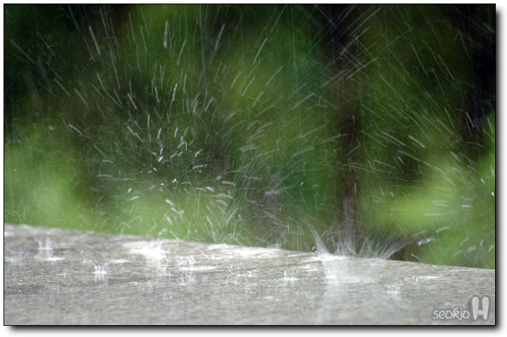 DSCF9782.jpg