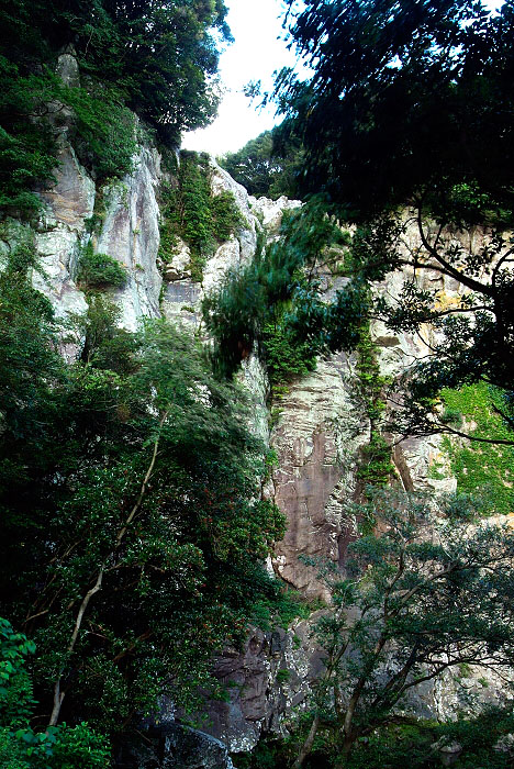 _DSF0598.jpg