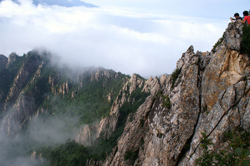 PICT6300_800.jpg