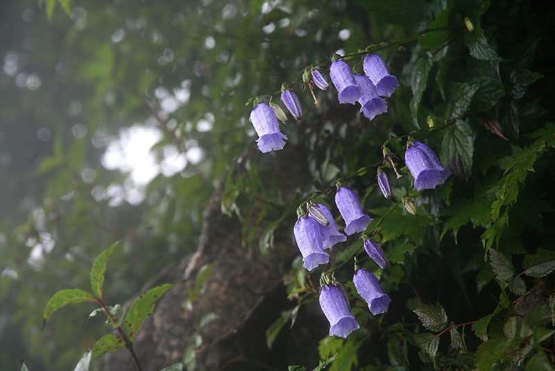 060827_214.jpg