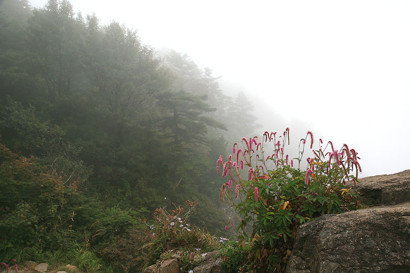 060910, grm 064.jpg