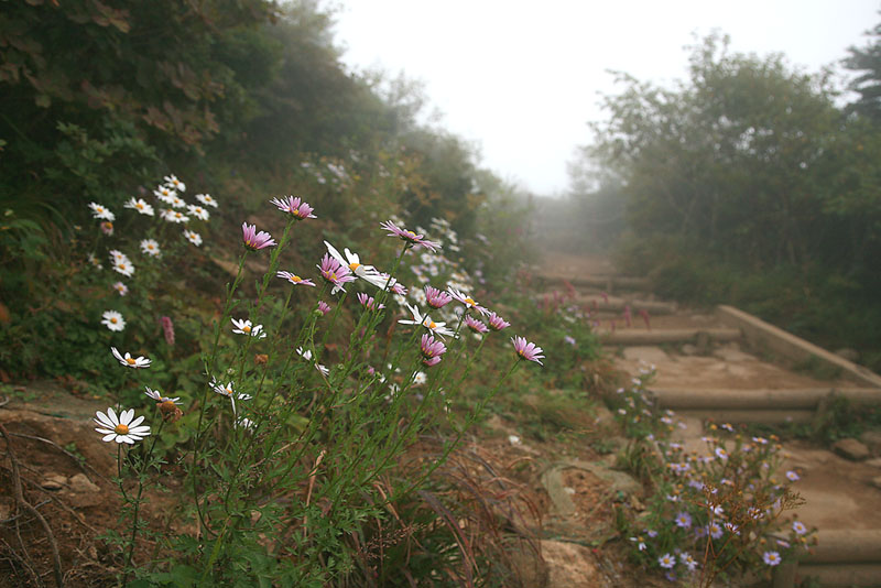 060910, grm 097.jpg