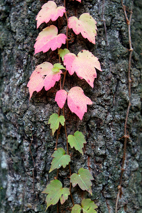 20051030_dscf5993.jpg