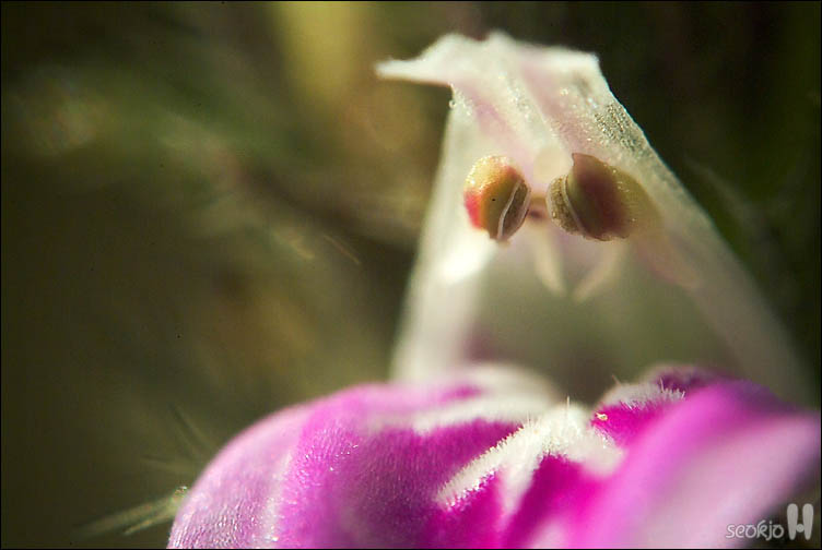 DSCF1276.jpg