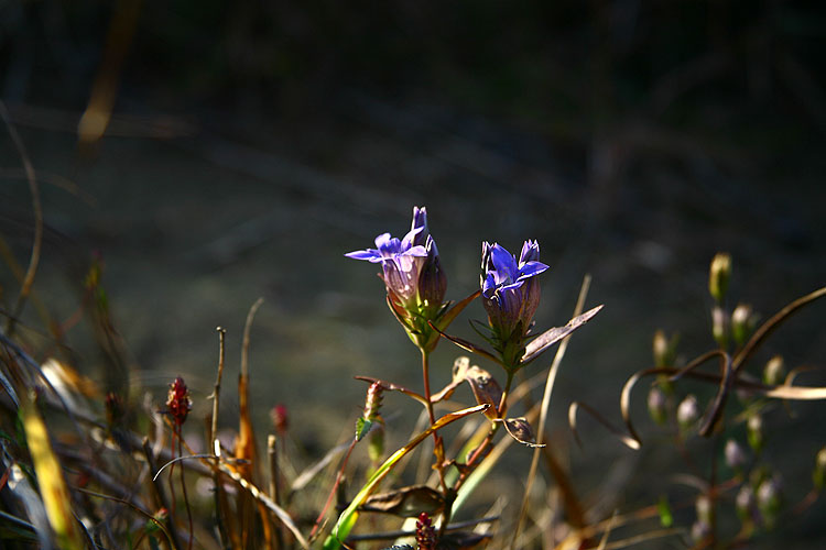 051103_040.jpg
