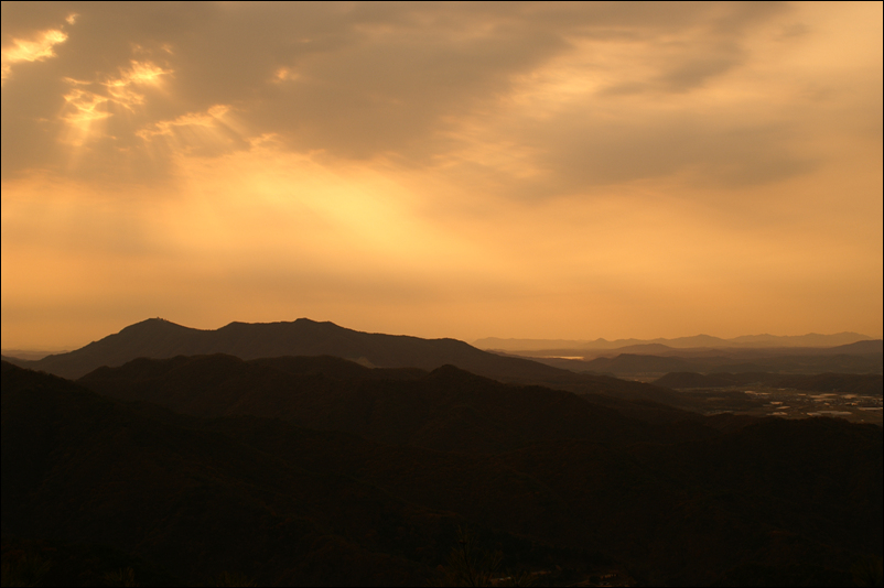 PICT8798.jpg
