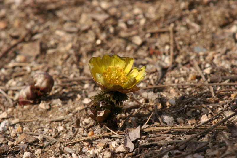 img_4946.jpg