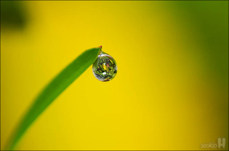 DSCF4955.jpg