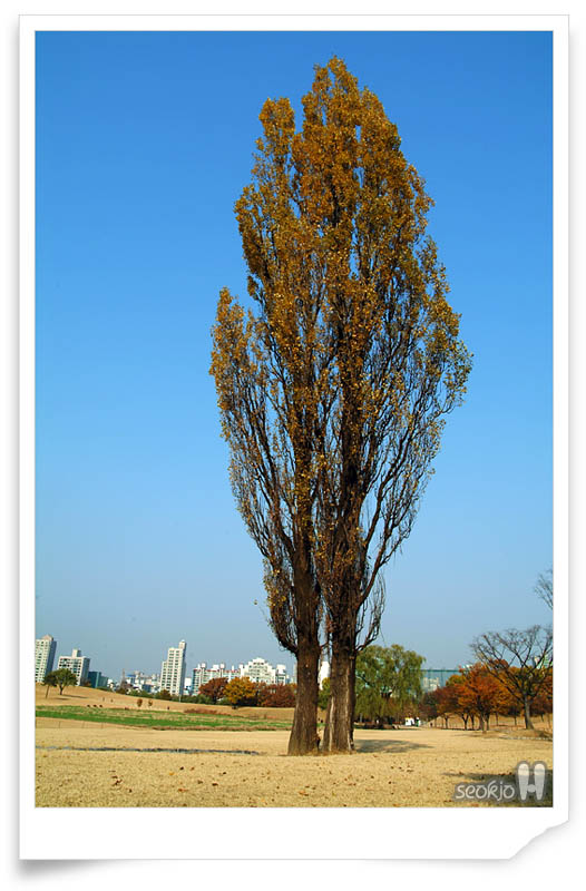 DSCF1349.jpg