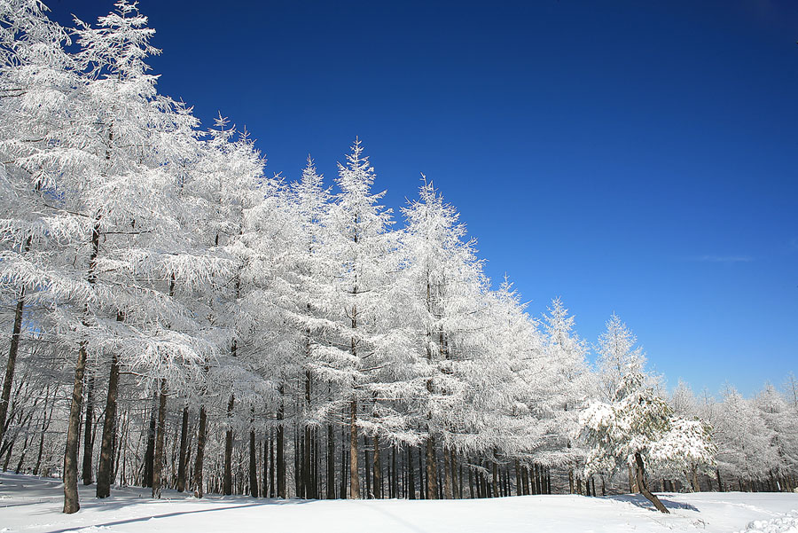 061210, tb 072.jpg