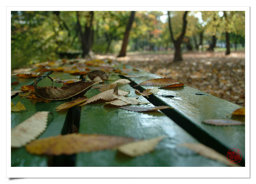 DSCF4768.jpg