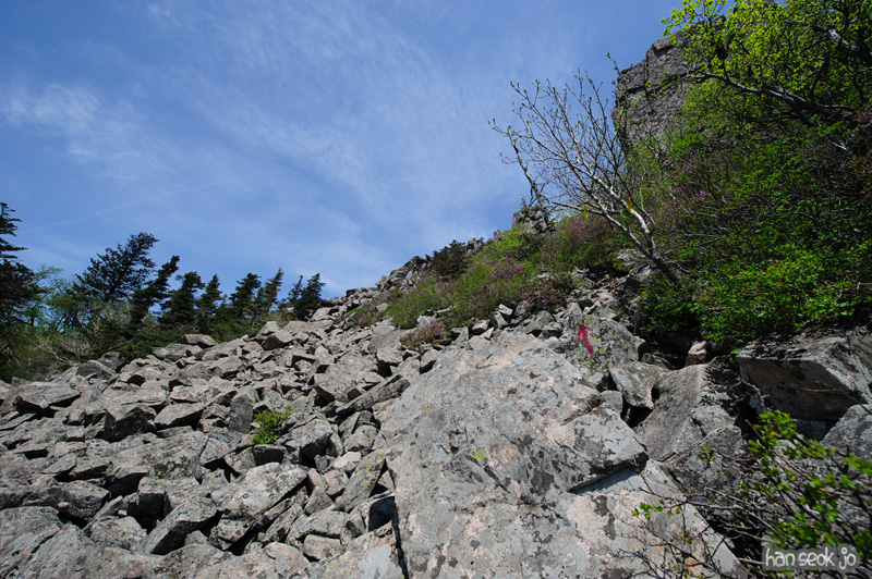 HSJ_9867.jpg