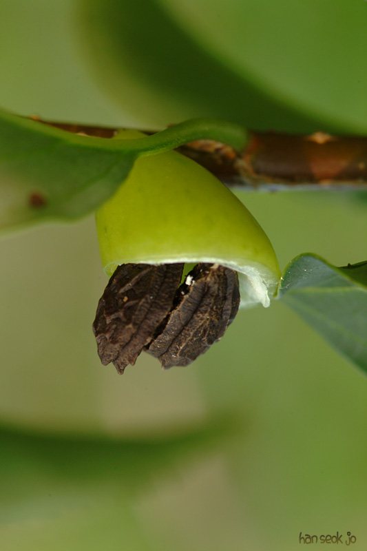 DSCF2743.JPG