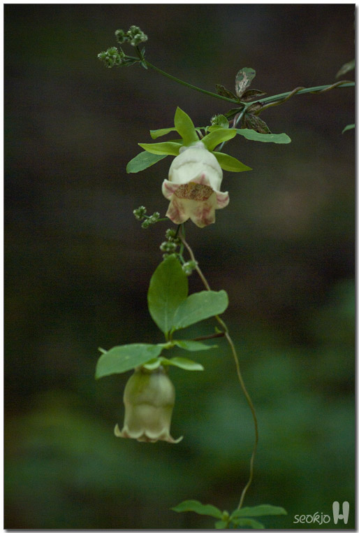 DSCF8507.jpg