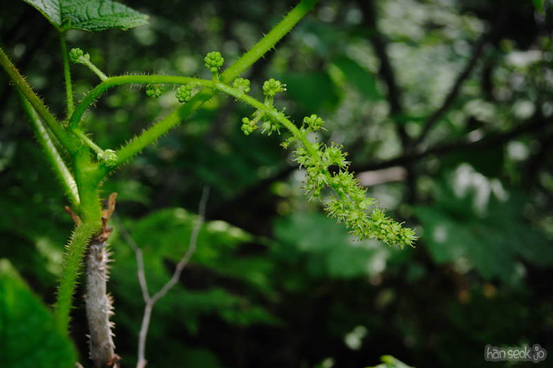 HSJ_0422.jpg