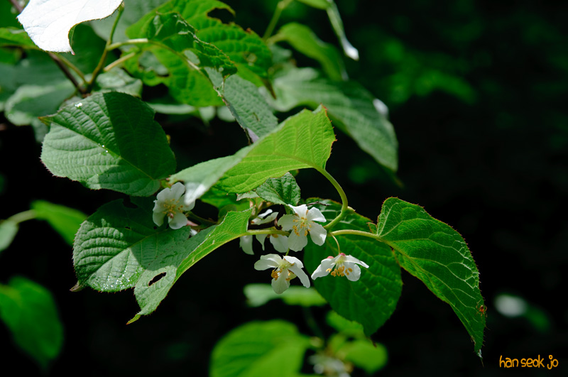 DSC_7159.jpg
