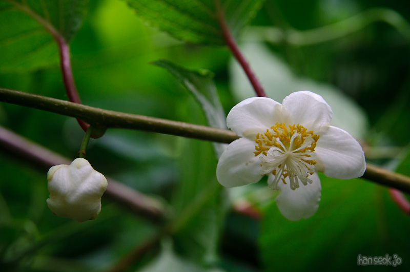 DSC_2210.jpg
