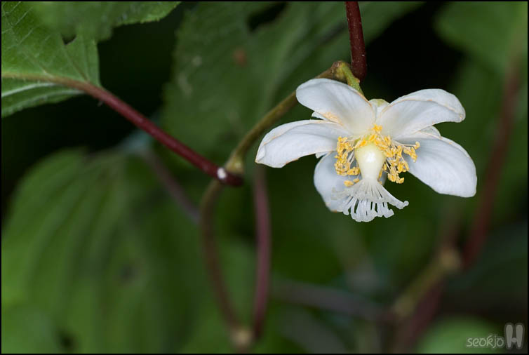 DSCF2048.jpg