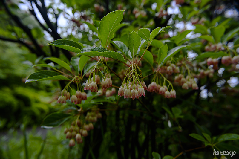 DSC_2656.jpg