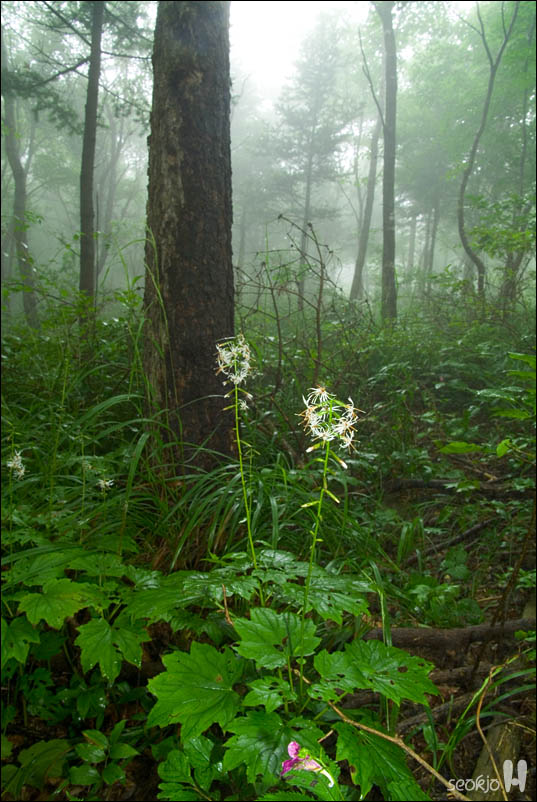 DSCF4743.jpg