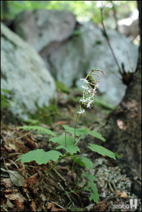 DSCF9507.jpg