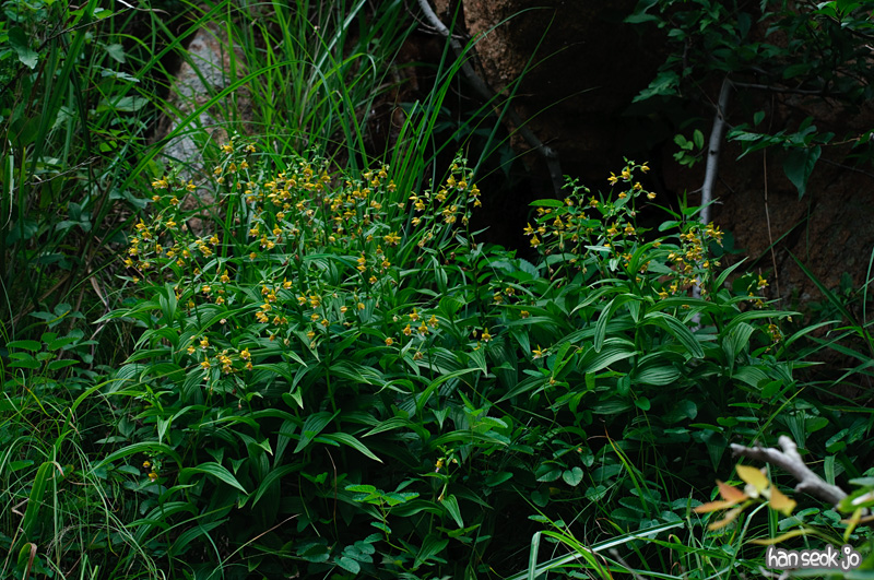 DSC_7454.jpg