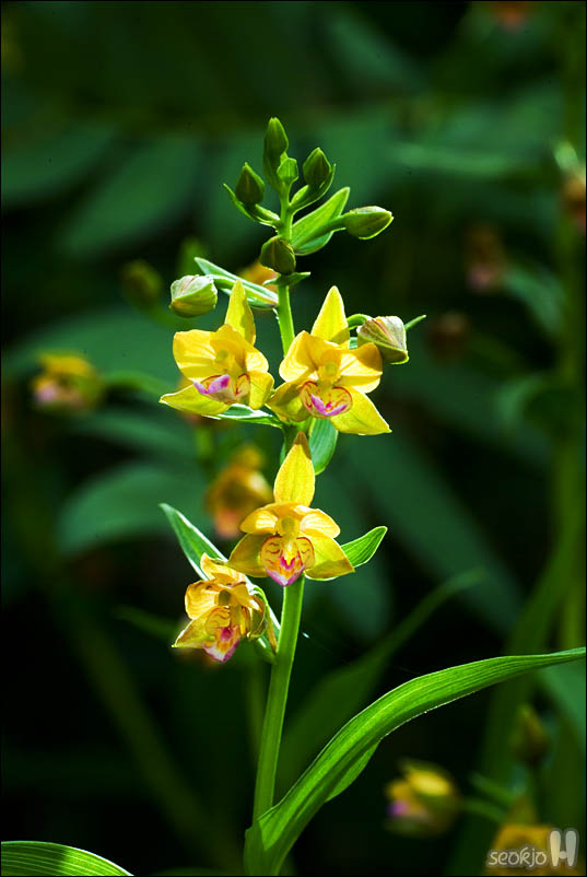 DSCF4270.jpg
