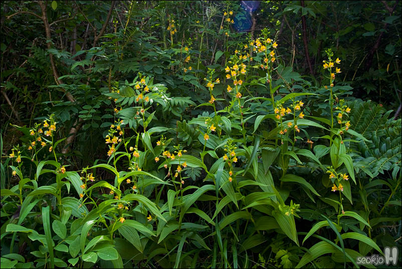 DSCF4273.jpg