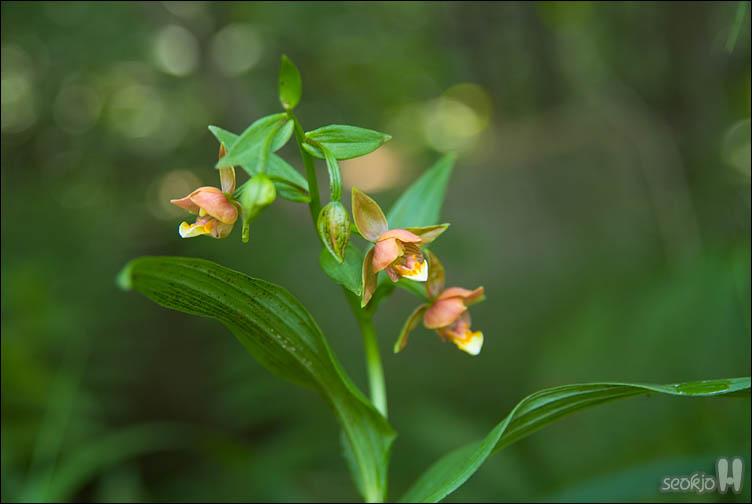 DSCF9723.jpg