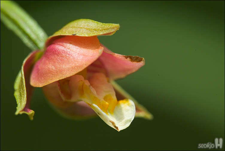 DSCF9735.jpg