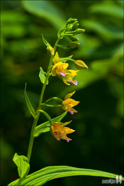 DSCF9765.jpg