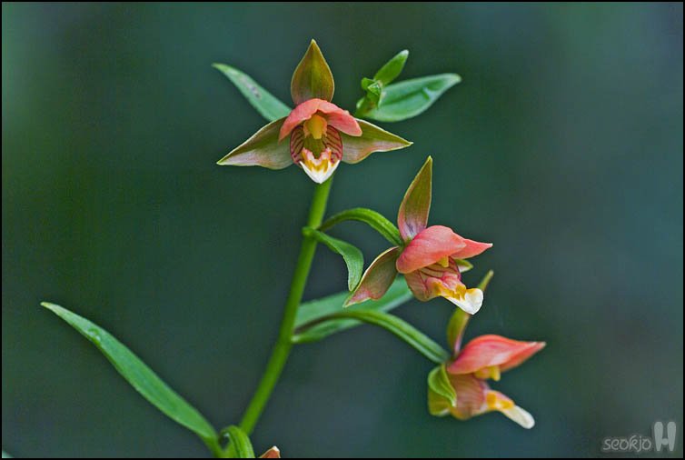 DSCF2212.jpg
