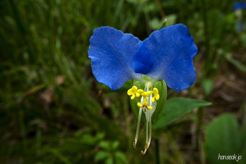 DSC_1333.jpg