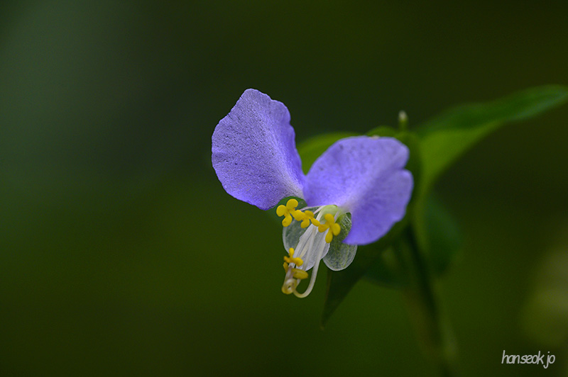 DSC_4360.jpg