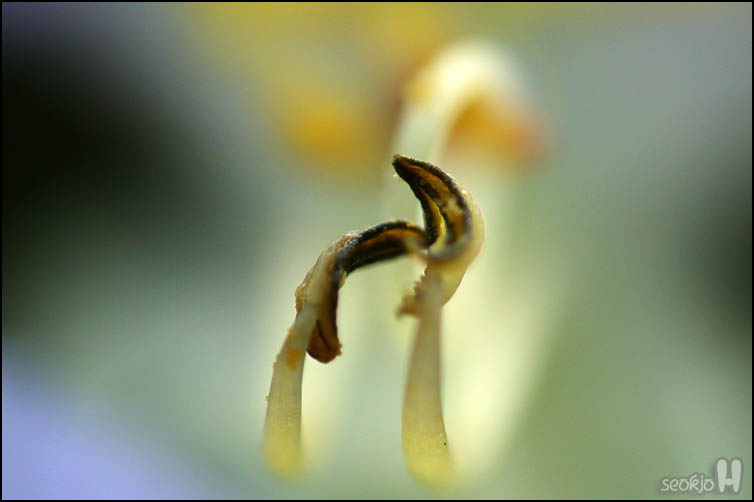 DSCN9548.jpg