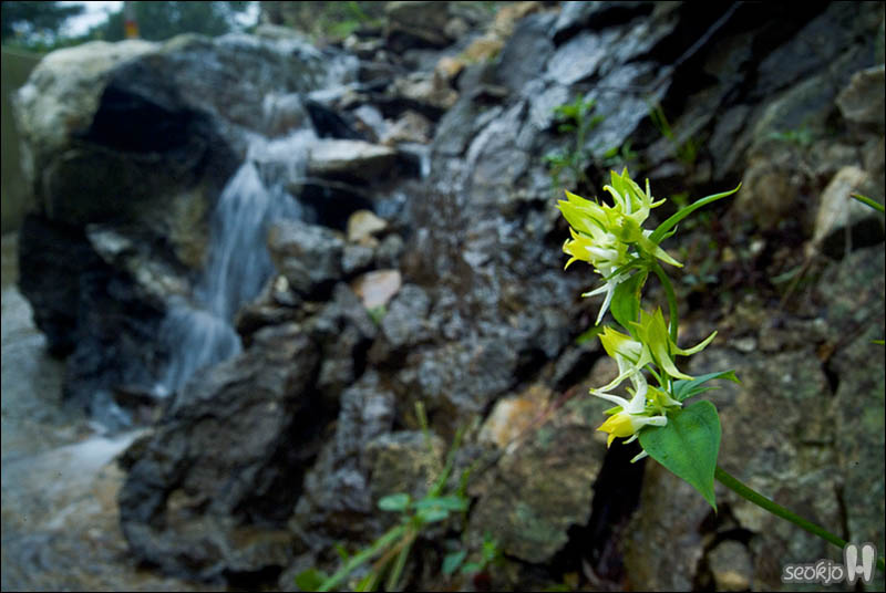 DSCF4886.jpg