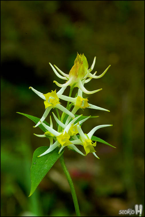 DSCF8690.jpg