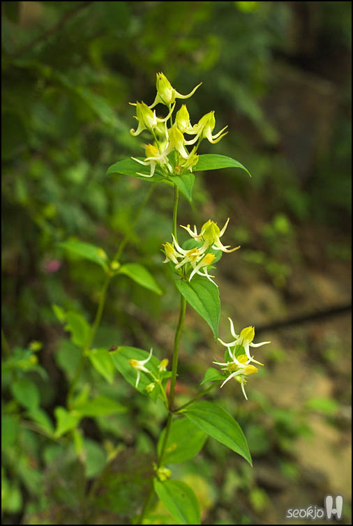 DSCF8718.jpg
