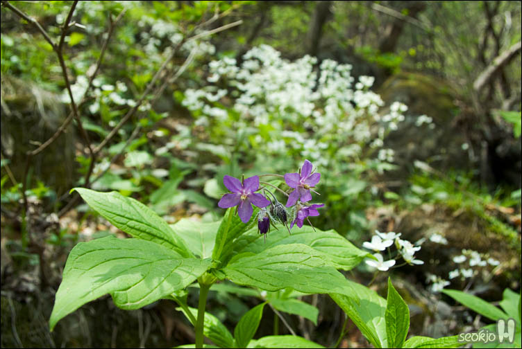 DSCF7873.jpg