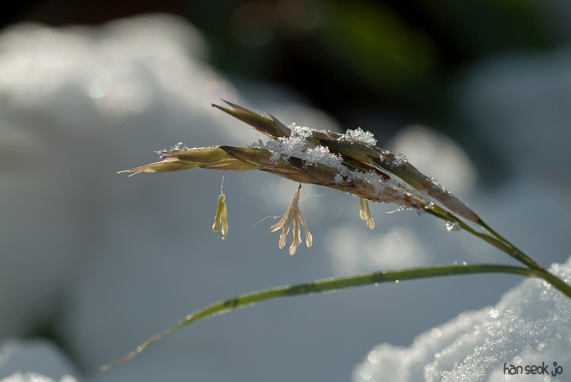DSCF5286.jpg