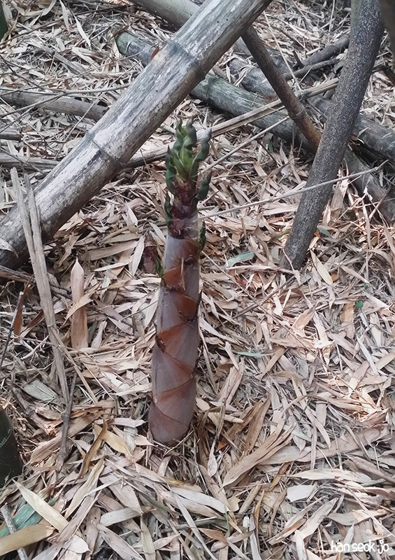 20170528_090624.jpg