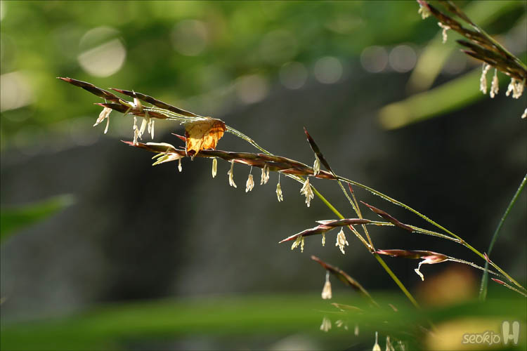 DSCF4751.jpg