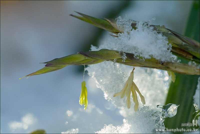DSCF5297.jpg