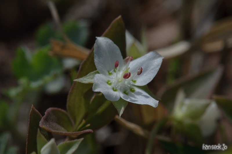 DSC_5982.jpg